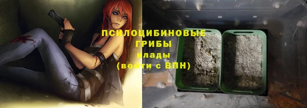 шишки Бабаево