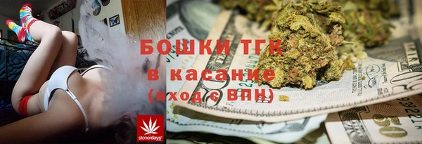 индика Алексеевка