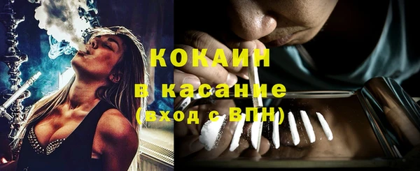 стаф Няндома