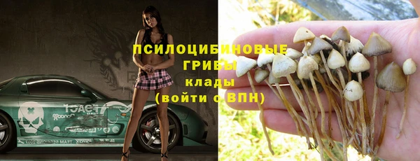 индика Алексеевка