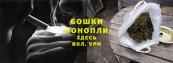 шишки Алзамай