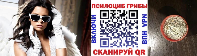 наркотики  Омутнинск  Галлюциногенные грибы Magic Shrooms 